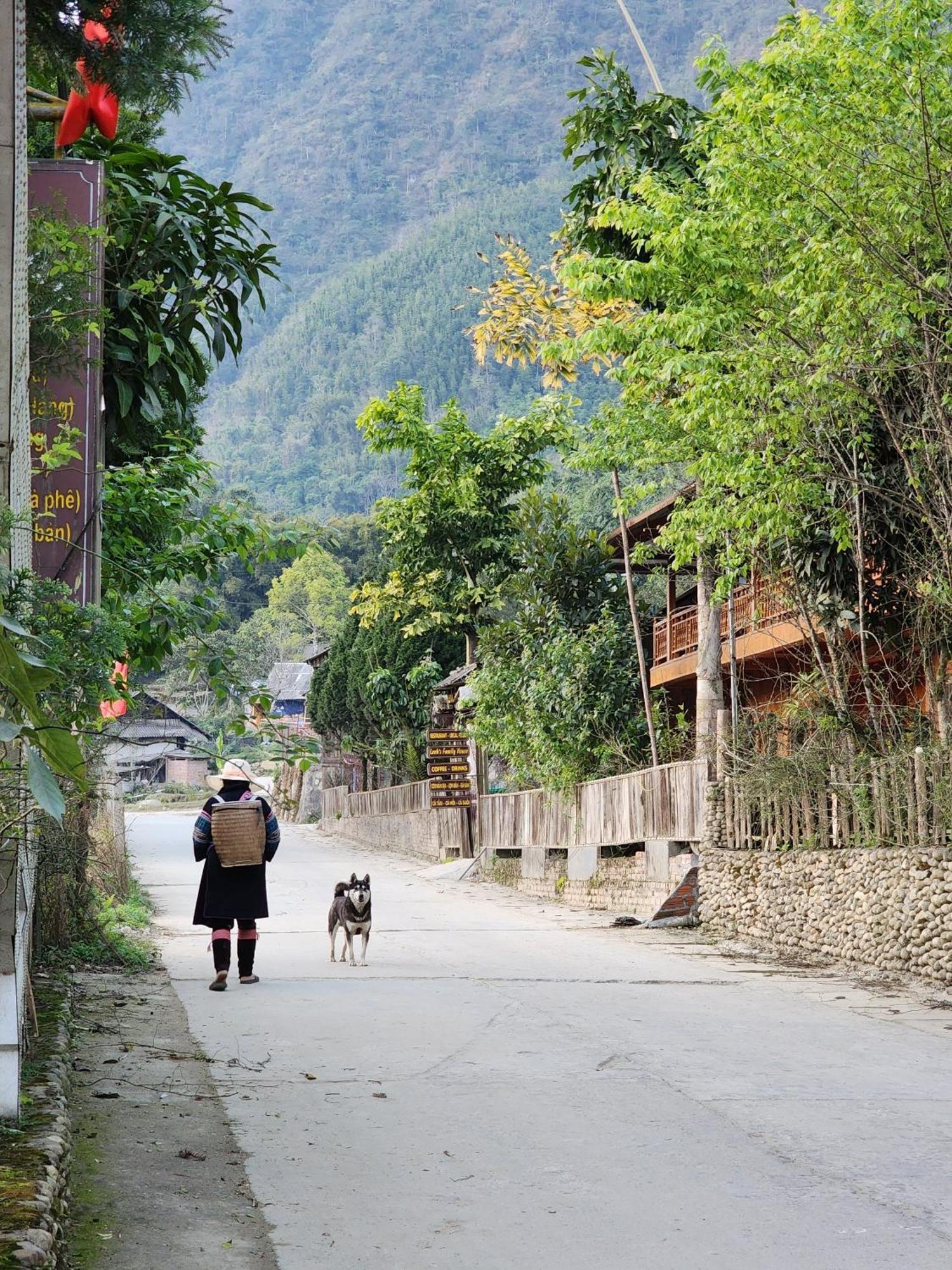 Khen Mong Nature Hotel Sapa Εξωτερικό φωτογραφία